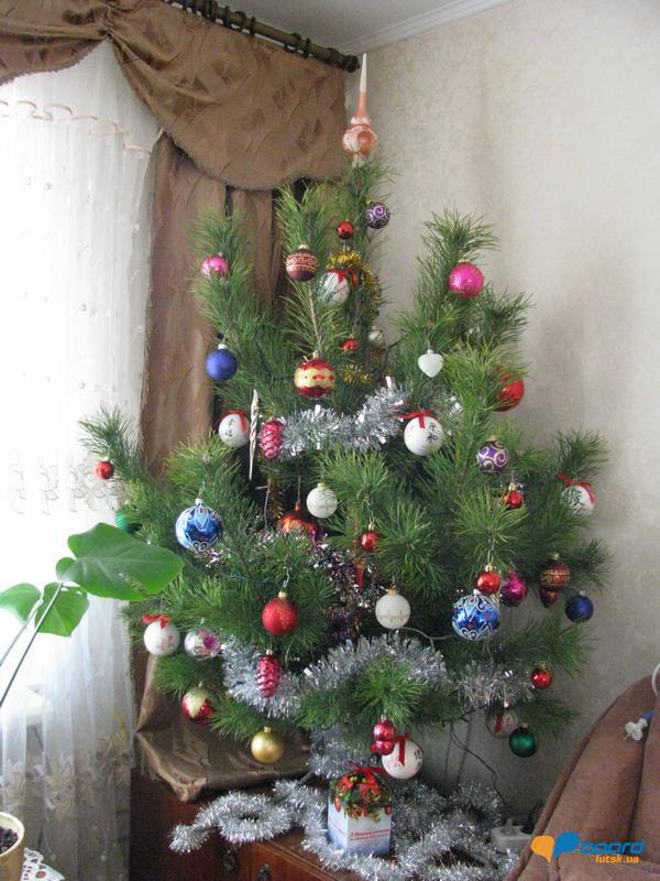 post-13465-0-33750900-1356881194_thumb.j