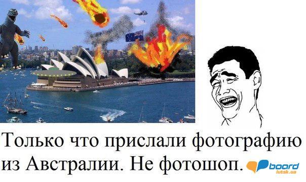 post-13465-0-61145200-1356103672_thumb.j