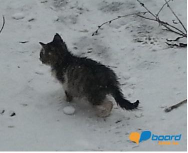 post-13628-0-71663400-1354703208_thumb.j