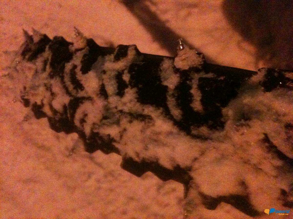 post-13652-0-50834500-1355592196_thumb.j