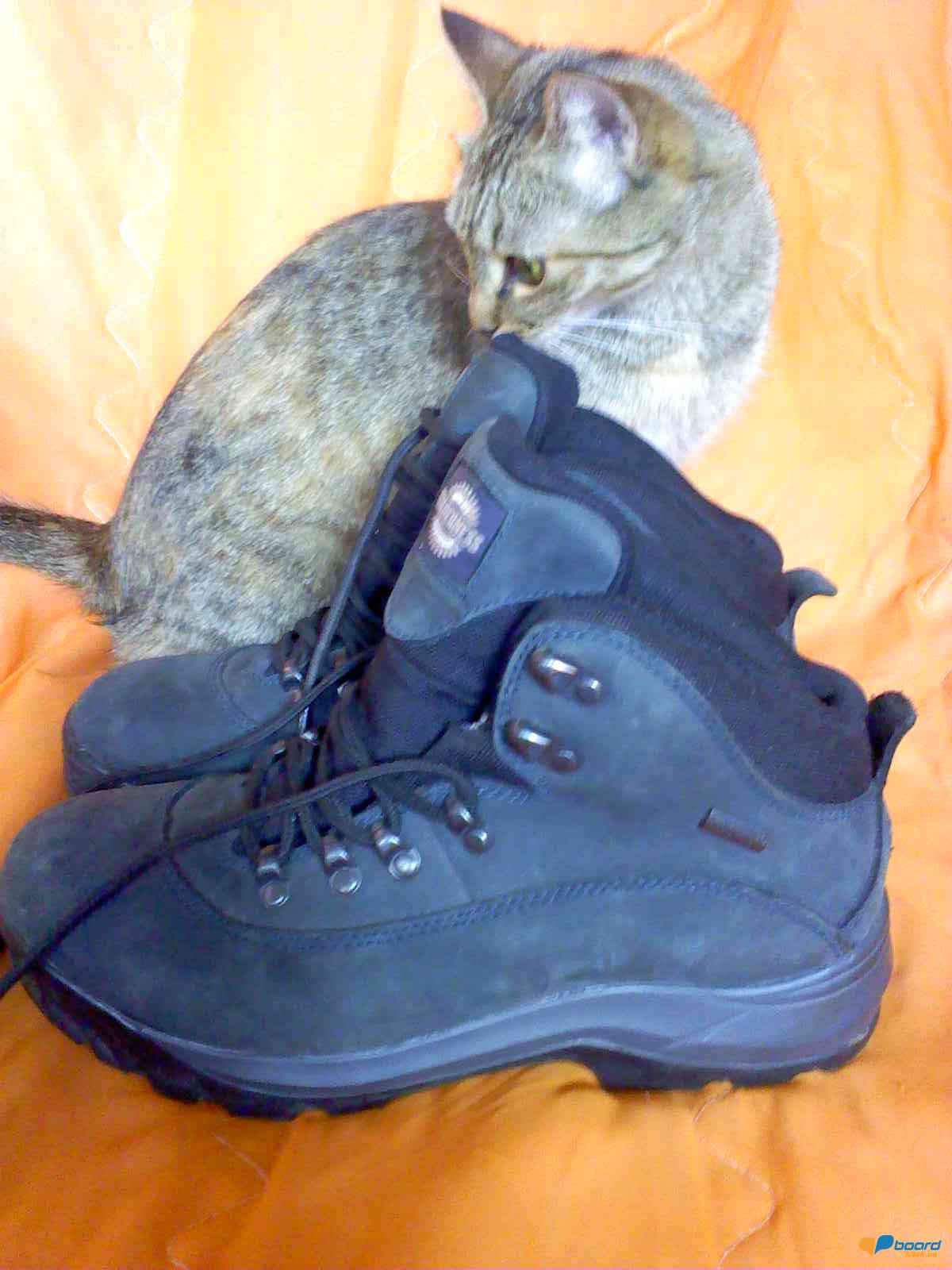 post-14795-0-56553200-1356600372_thumb.j