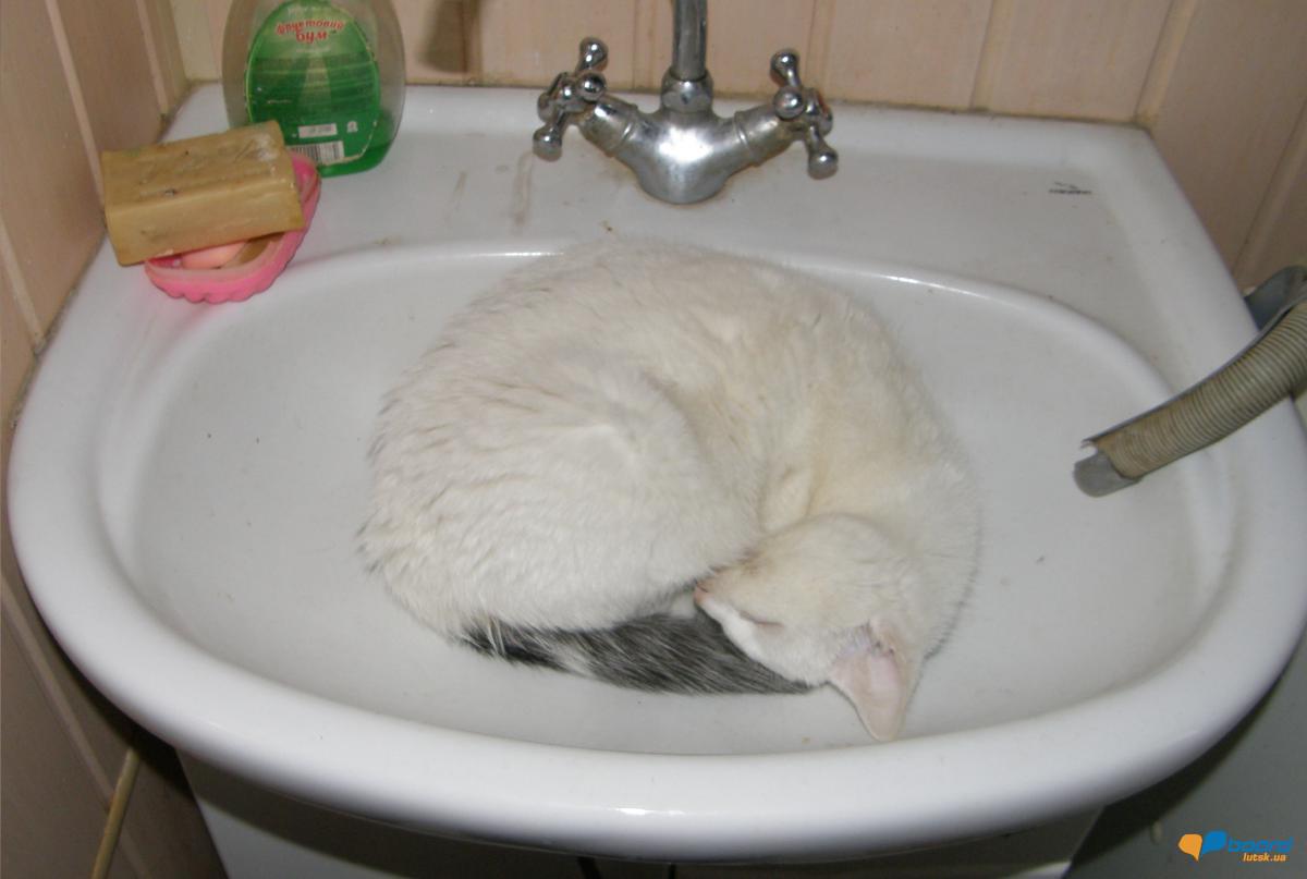 post-1524-0-23027500-1355850640_thumb.jp