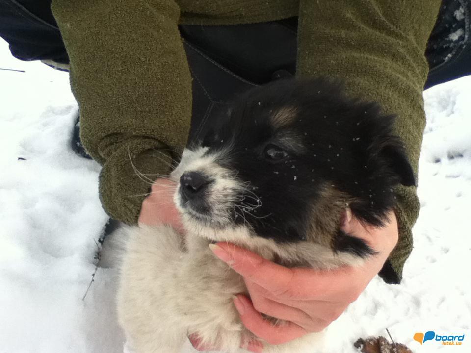 post-15903-0-11930400-1354973685_thumb.j