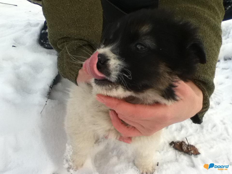 post-15903-0-44298700-1354973680_thumb.j