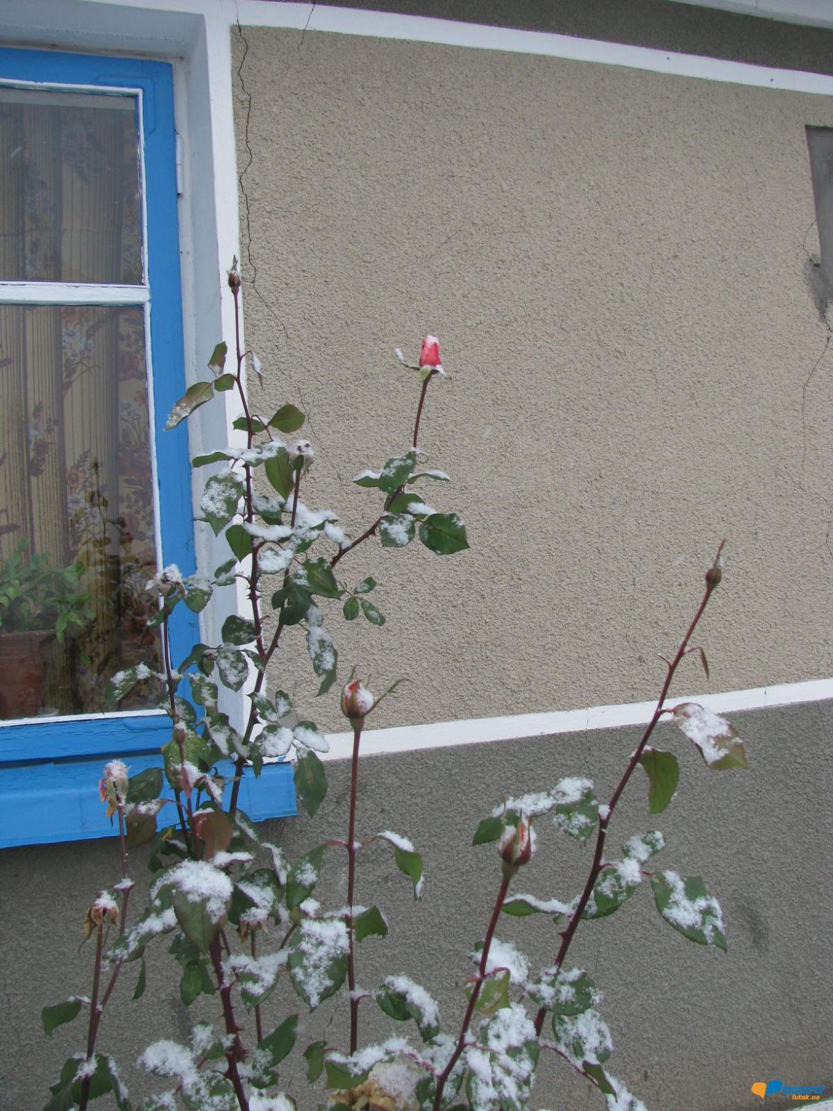 post-16414-0-64244100-1354455861_thumb.j