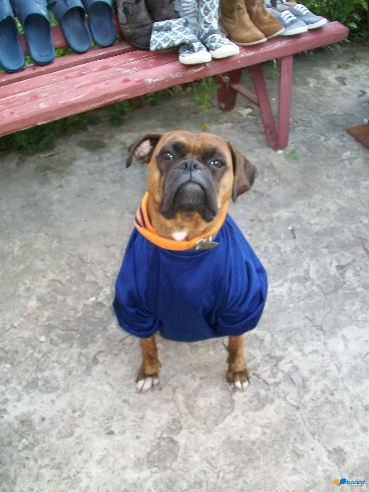 post-18497-0-39080100-1354812585_thumb.j