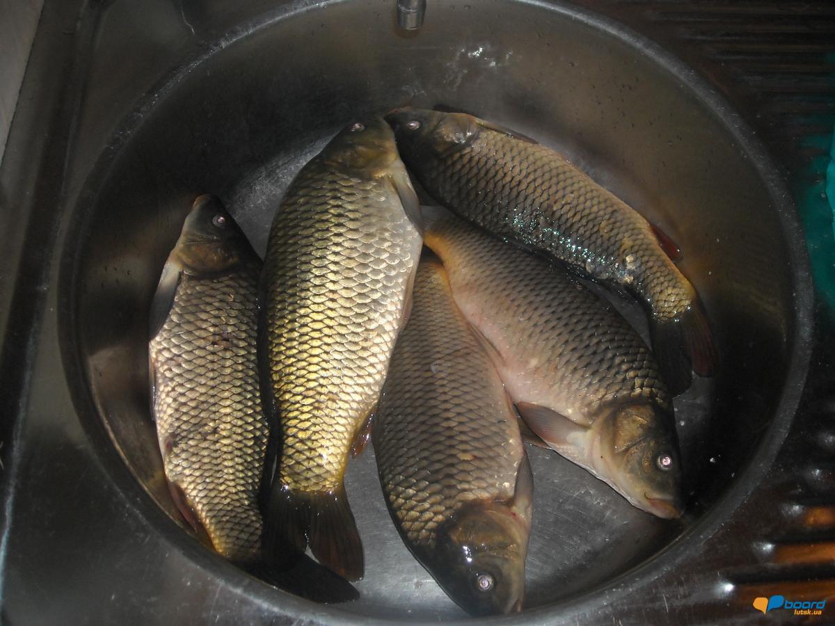 post-18550-0-41794400-1356454717_thumb.j