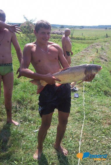 post-18550-0-98111500-1356454782_thumb.j