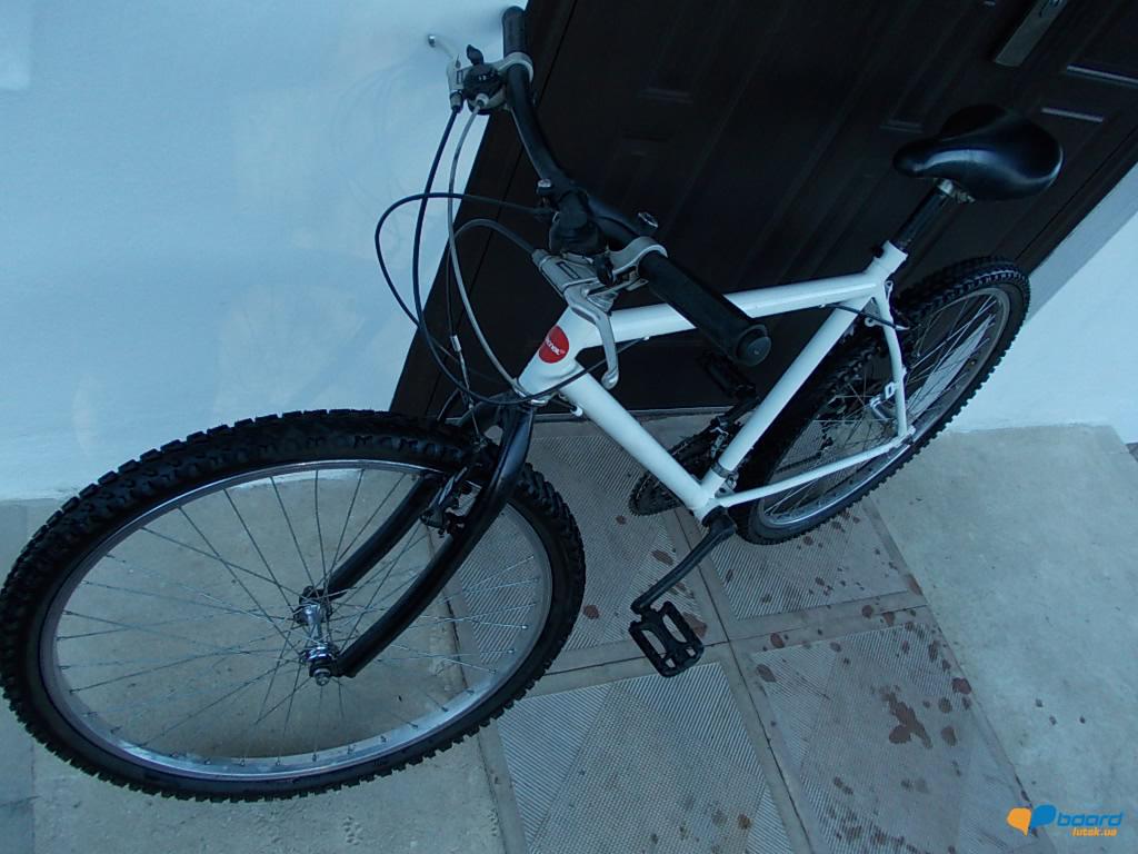 post-18577-0-95467400-1356875605_thumb.j