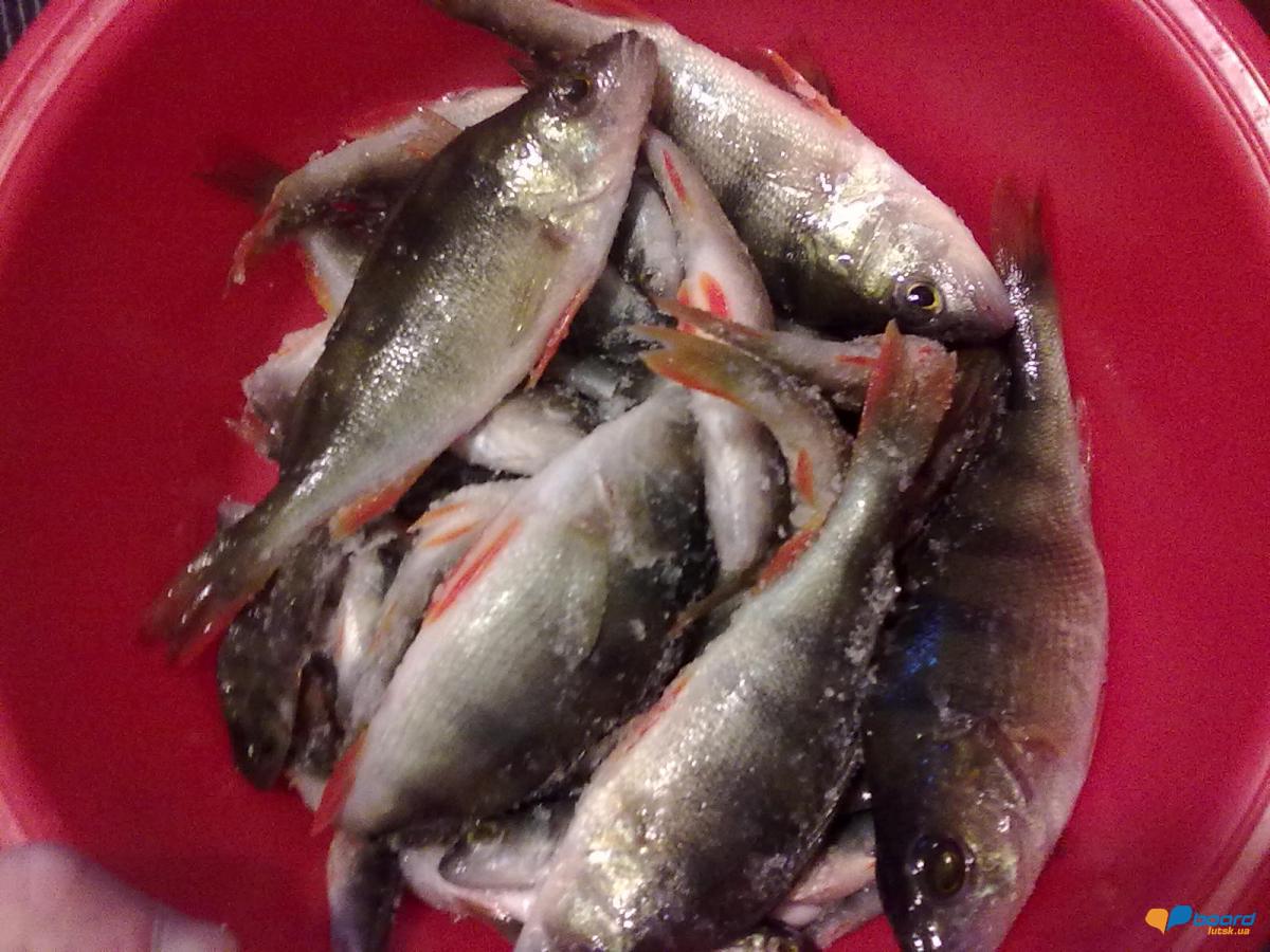 post-18712-0-10778900-1355414696_thumb.j