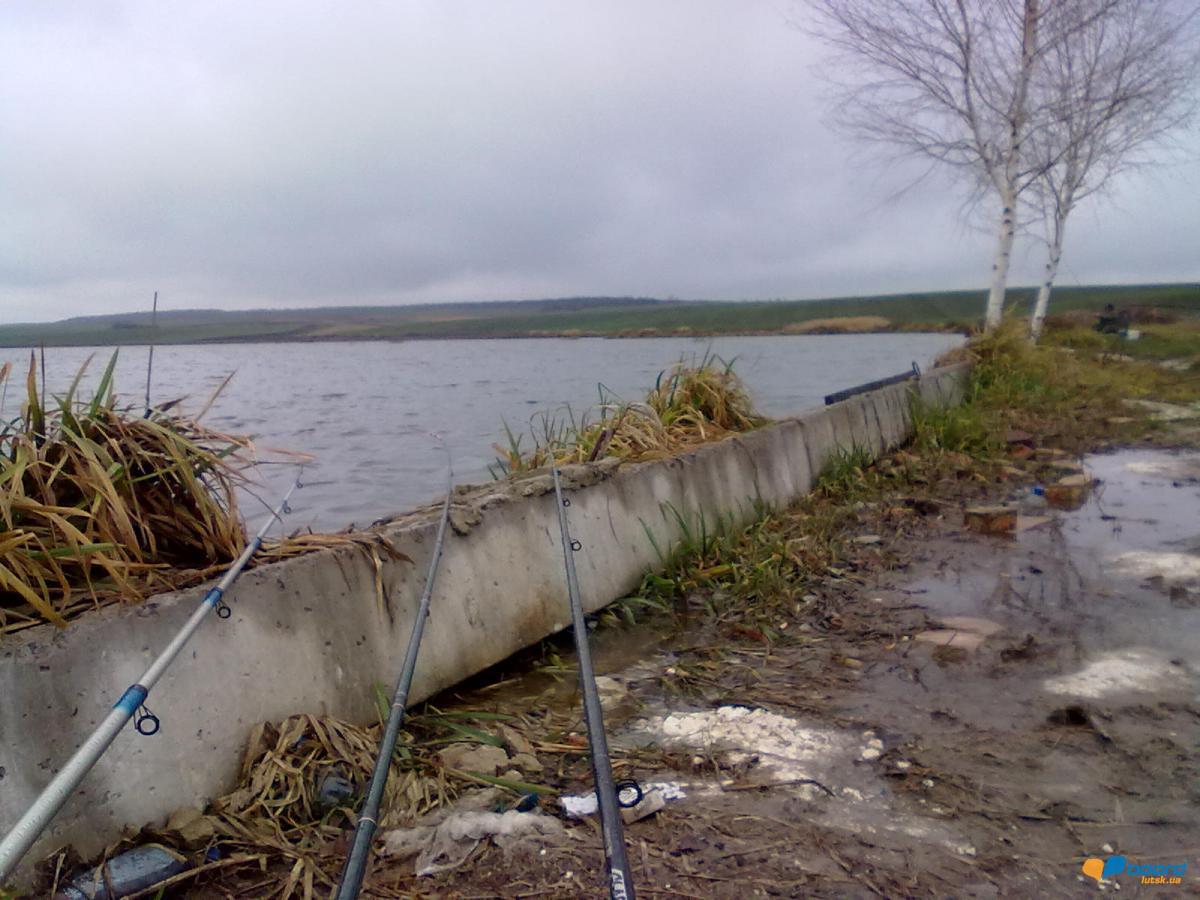 post-18712-0-20682100-1354382461_thumb.j