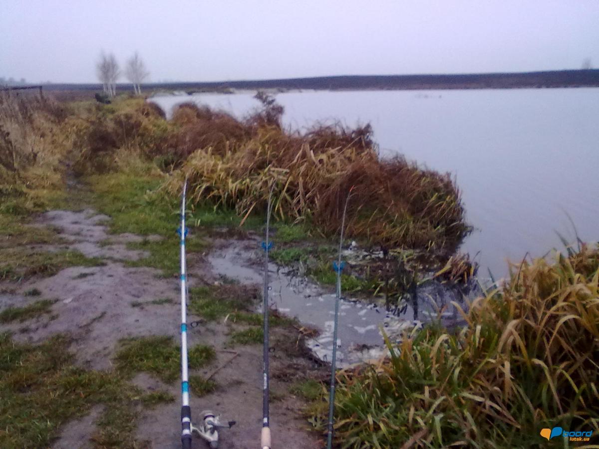 post-18712-0-31811900-1354382459_thumb.j