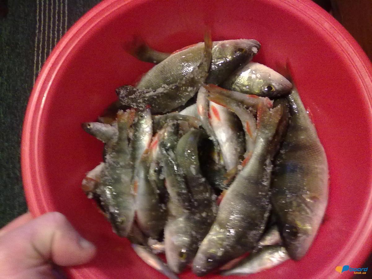 post-18712-0-42210200-1355414698_thumb.j