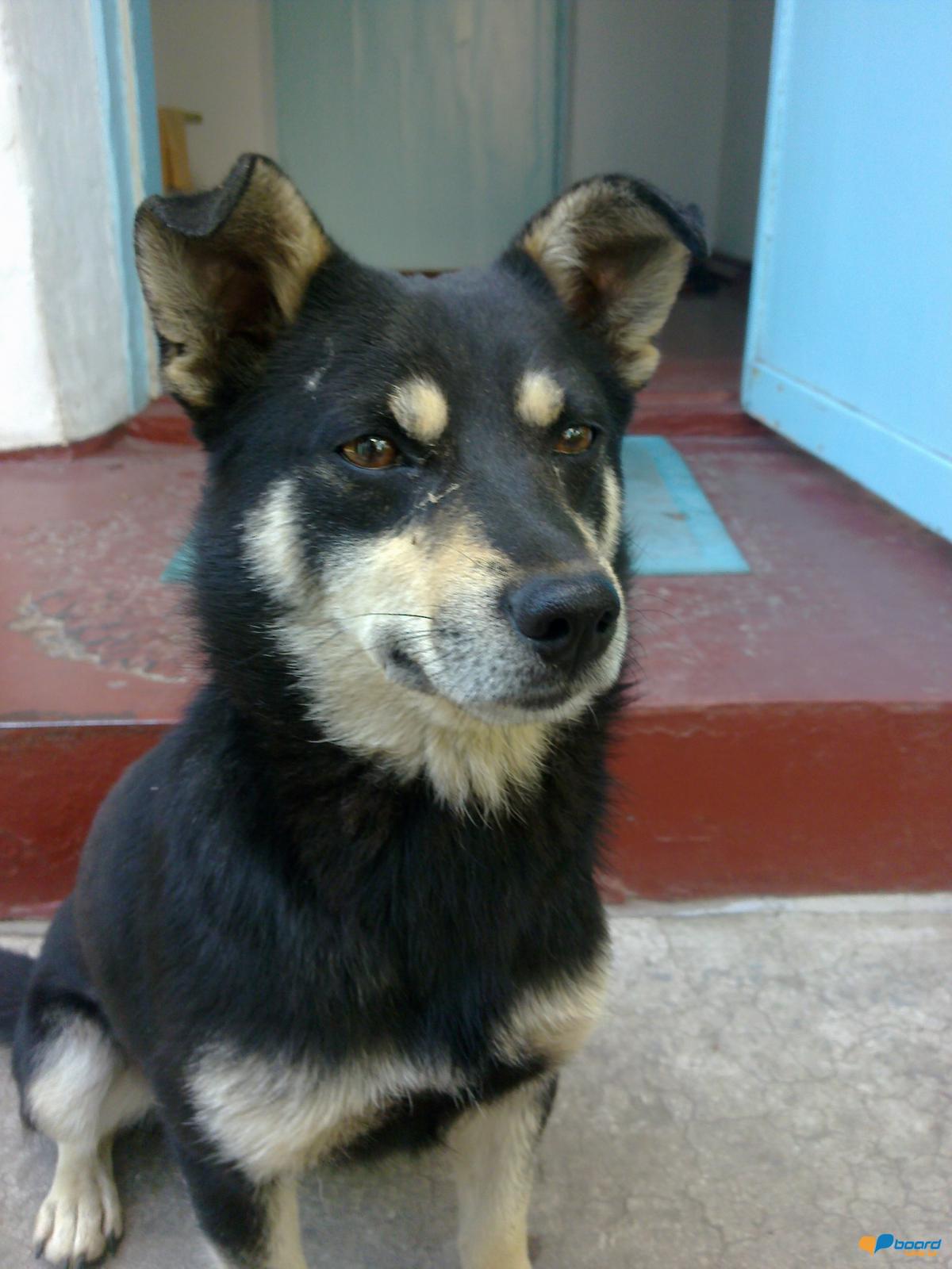 post-20074-0-46784500-1355671998_thumb.j