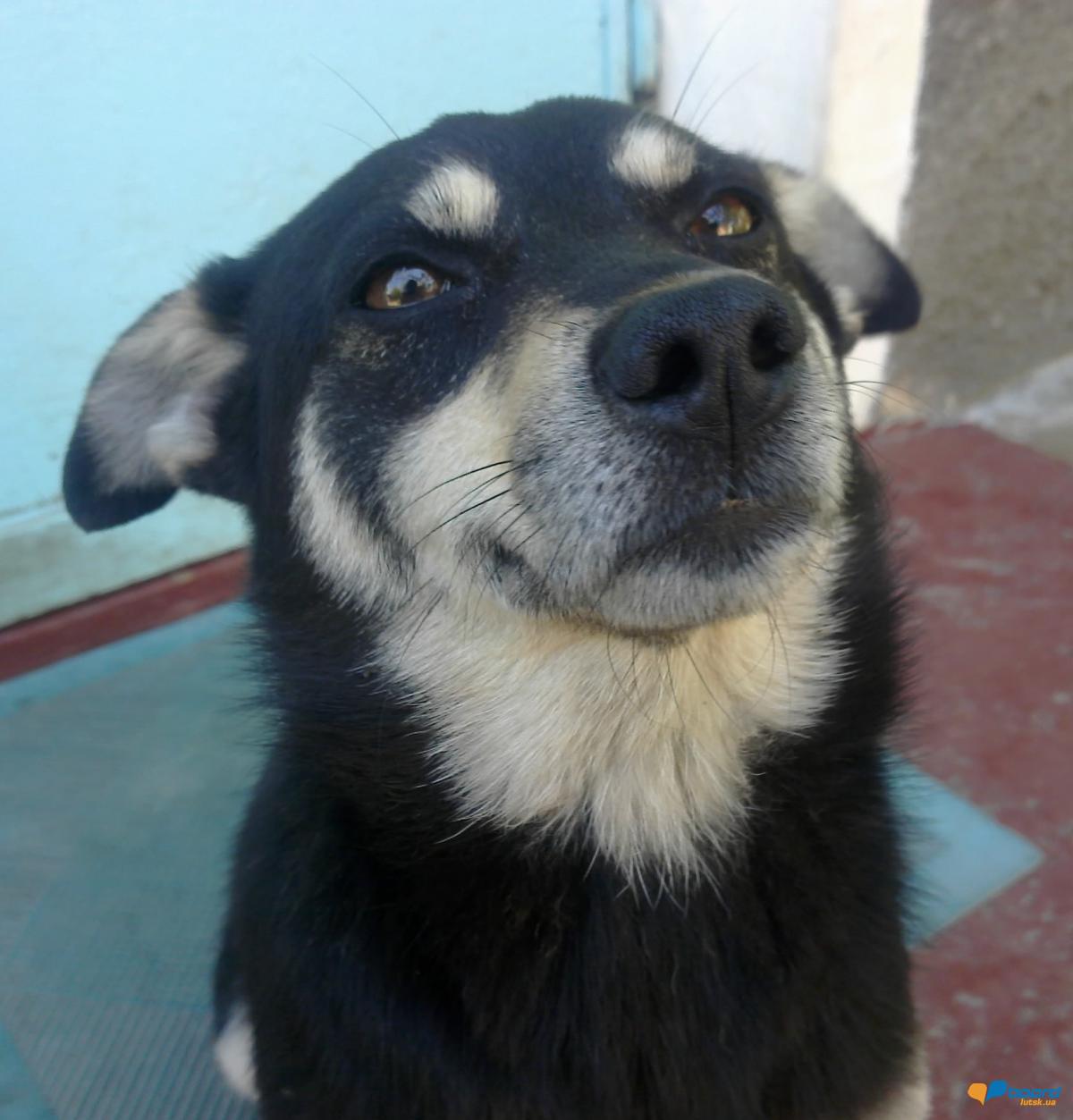 post-20074-0-64672100-1355671965_thumb.j