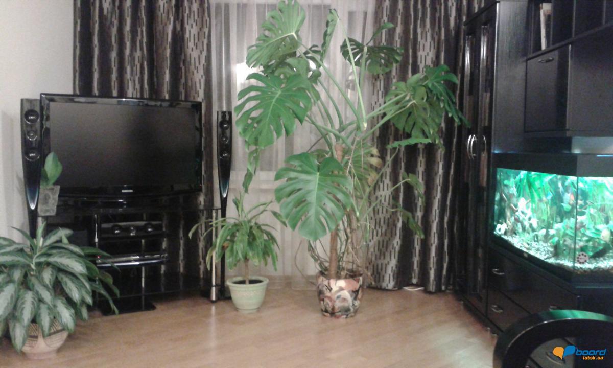 post-20194-0-69550800-1355055969_thumb.j