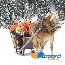 post-20389-0-28509400-1356679437_thumb.j