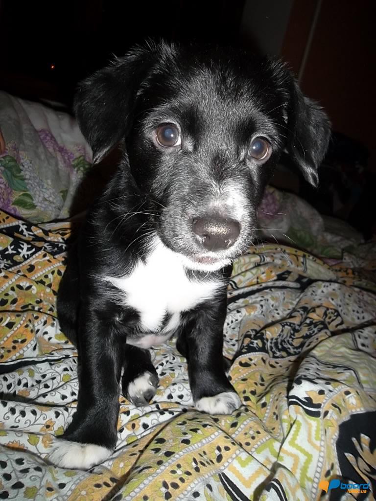 post-20425-0-41479700-1356524787_thumb.j