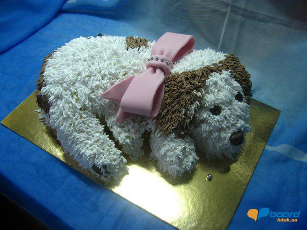 post-2135-0-57972300-1355129590_thumb.jp