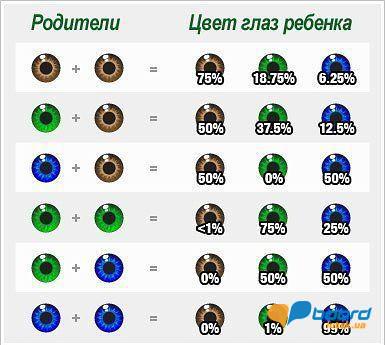 post-2519-0-64059000-1356361463_thumb.jp