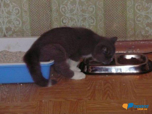 post-2957-0-00400000-1356033489_thumb.jp