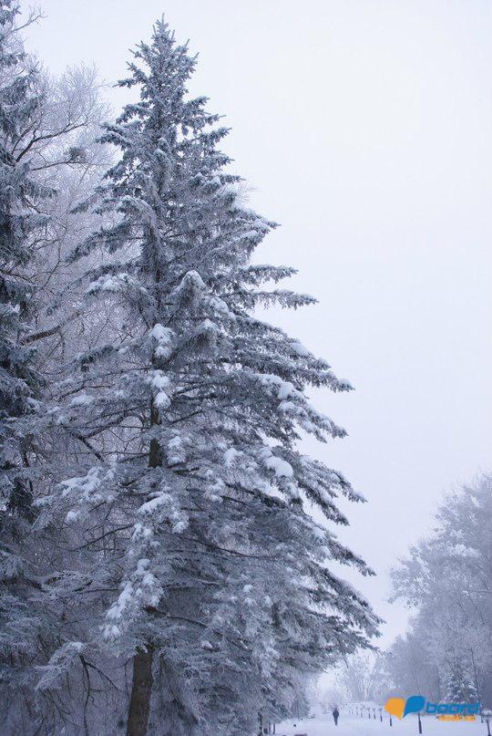 post-2957-0-03411600-1354538011_thumb.jp