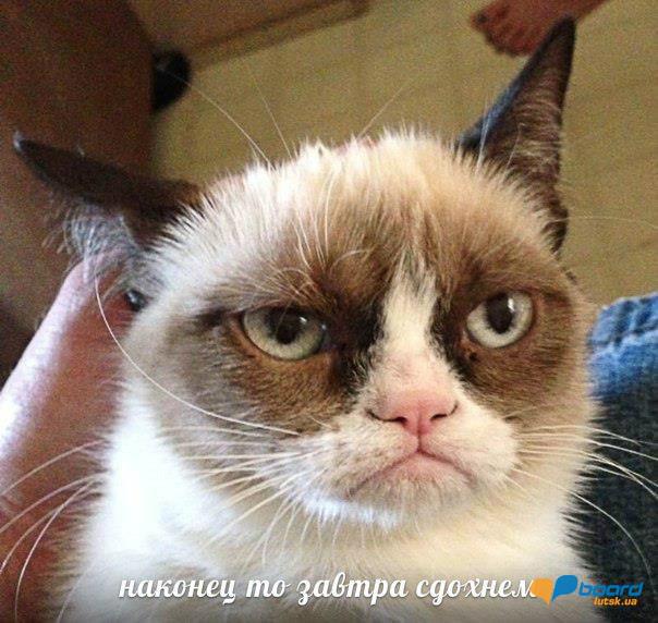 post-2957-0-10374900-1356033467_thumb.jp