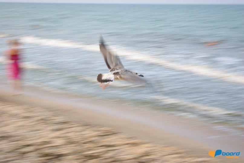 post-2957-0-40609200-1354538035_thumb.jp