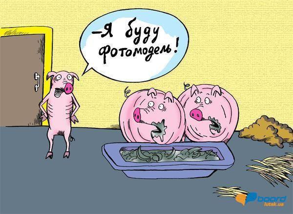 post-3002-0-46201200-1355345500_thumb.jp