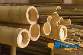 post-4337-0-87010100-1356346899_thumb.jp