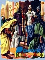 post-4405-0-49049700-1354625260_thumb.jp