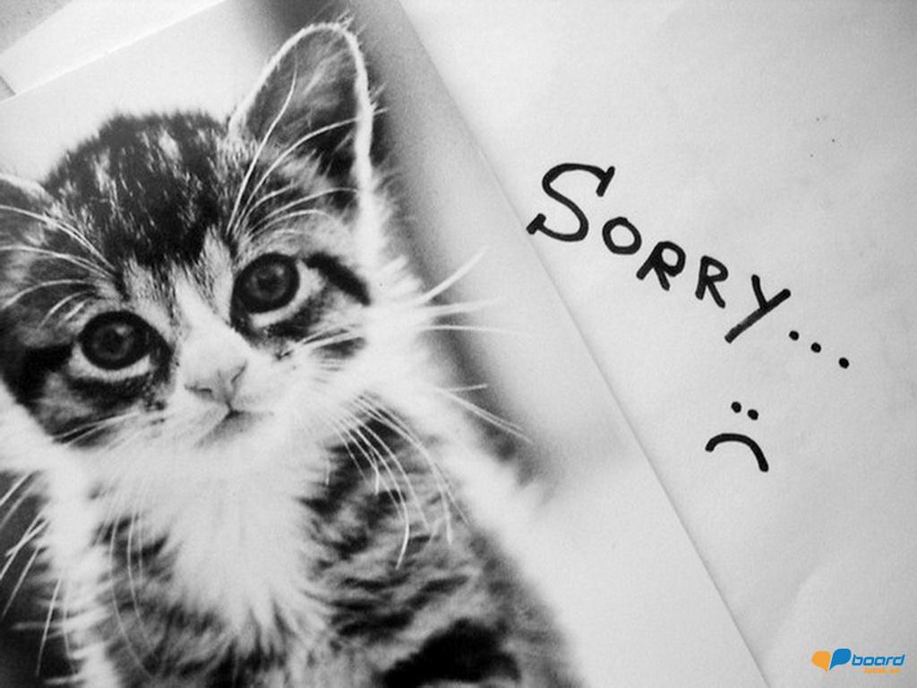 post-6070-0-58488800-1354383568_thumb.jp