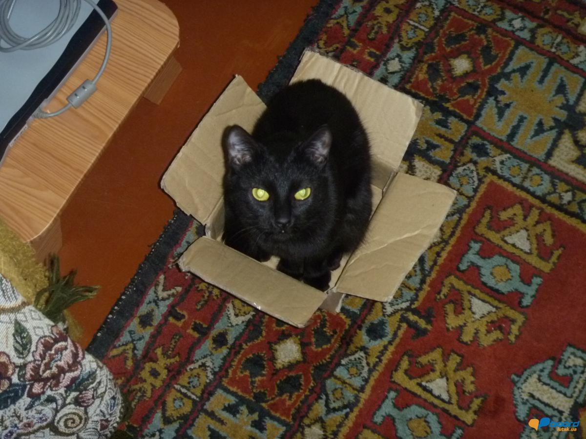 post-6505-0-51811600-1356717400_thumb.jp