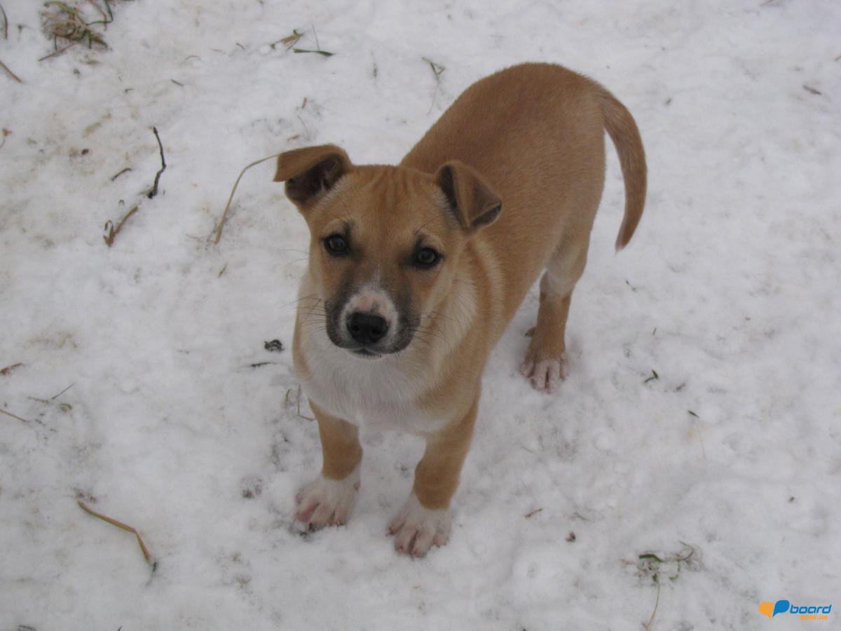 post-6595-0-74707300-1354907072_thumb.jp