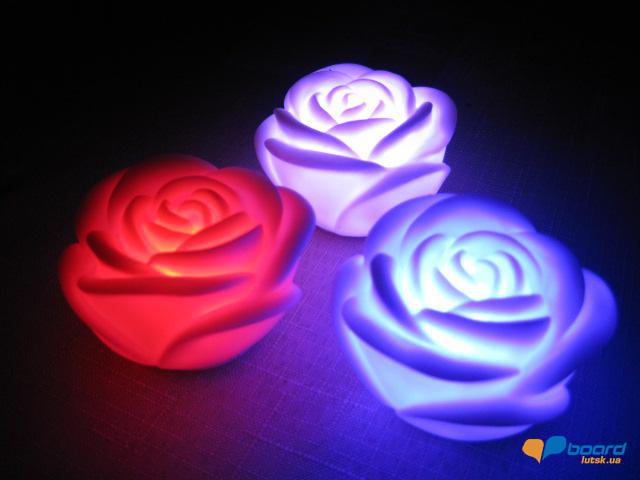 post-6657-0-12017500-1355304863_thumb.jp