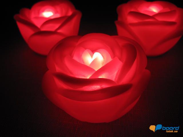 post-6657-0-75422200-1355304959_thumb.jp