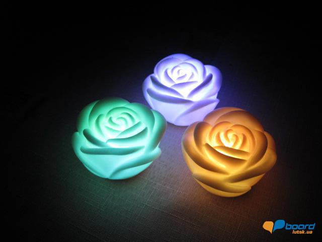 post-6657-0-95927900-1355304855_thumb.jp