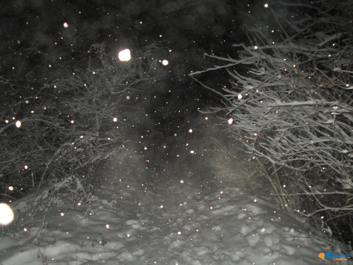 post-7467-0-85672000-1355085498_thumb.jp