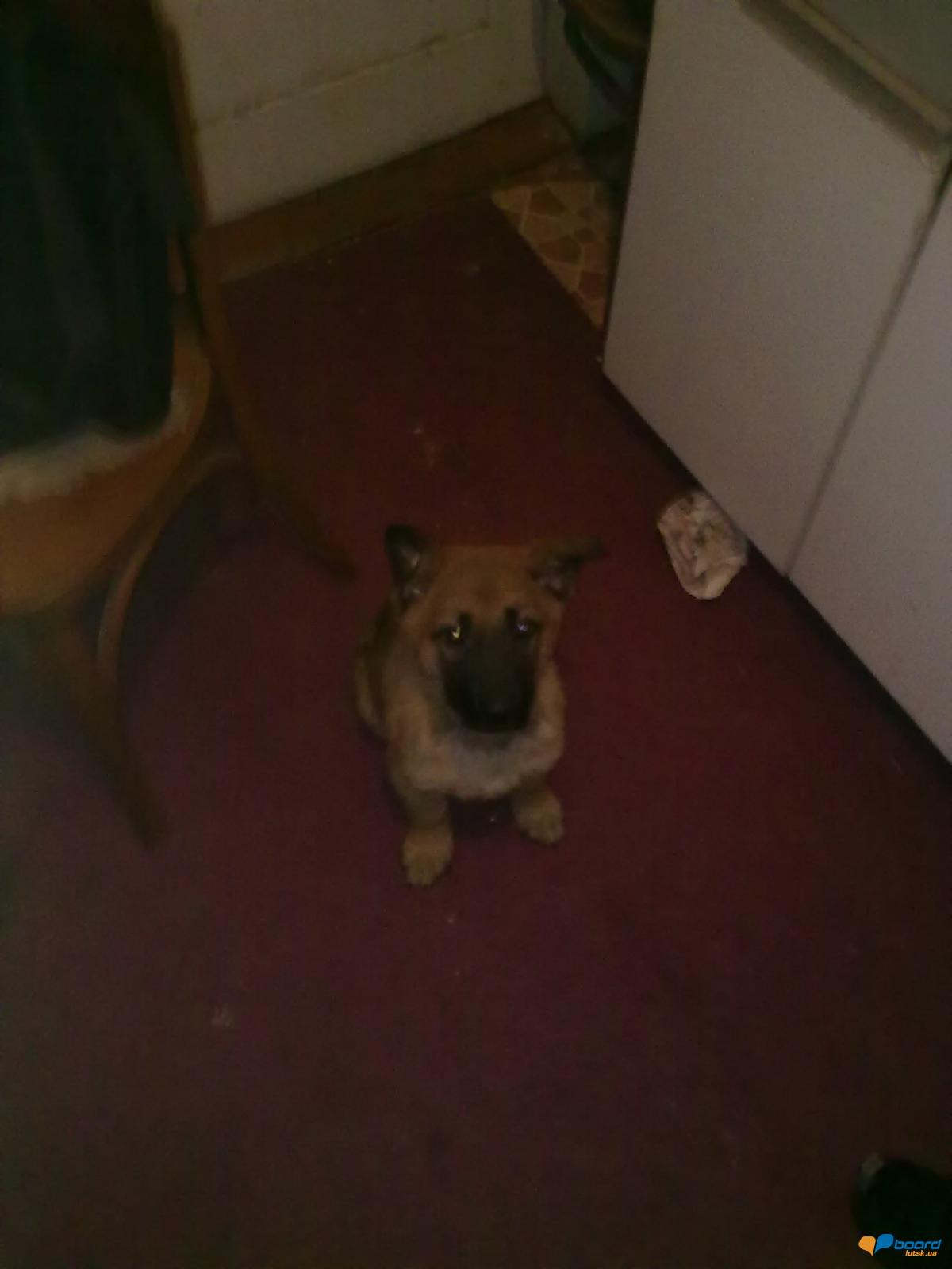 post-7472-0-11509700-1355941122_thumb.jp