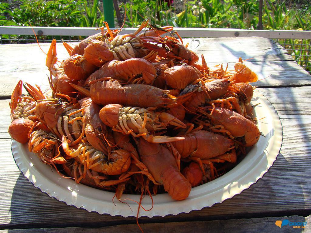 post-7896-0-61301100-1354737667_thumb.jp