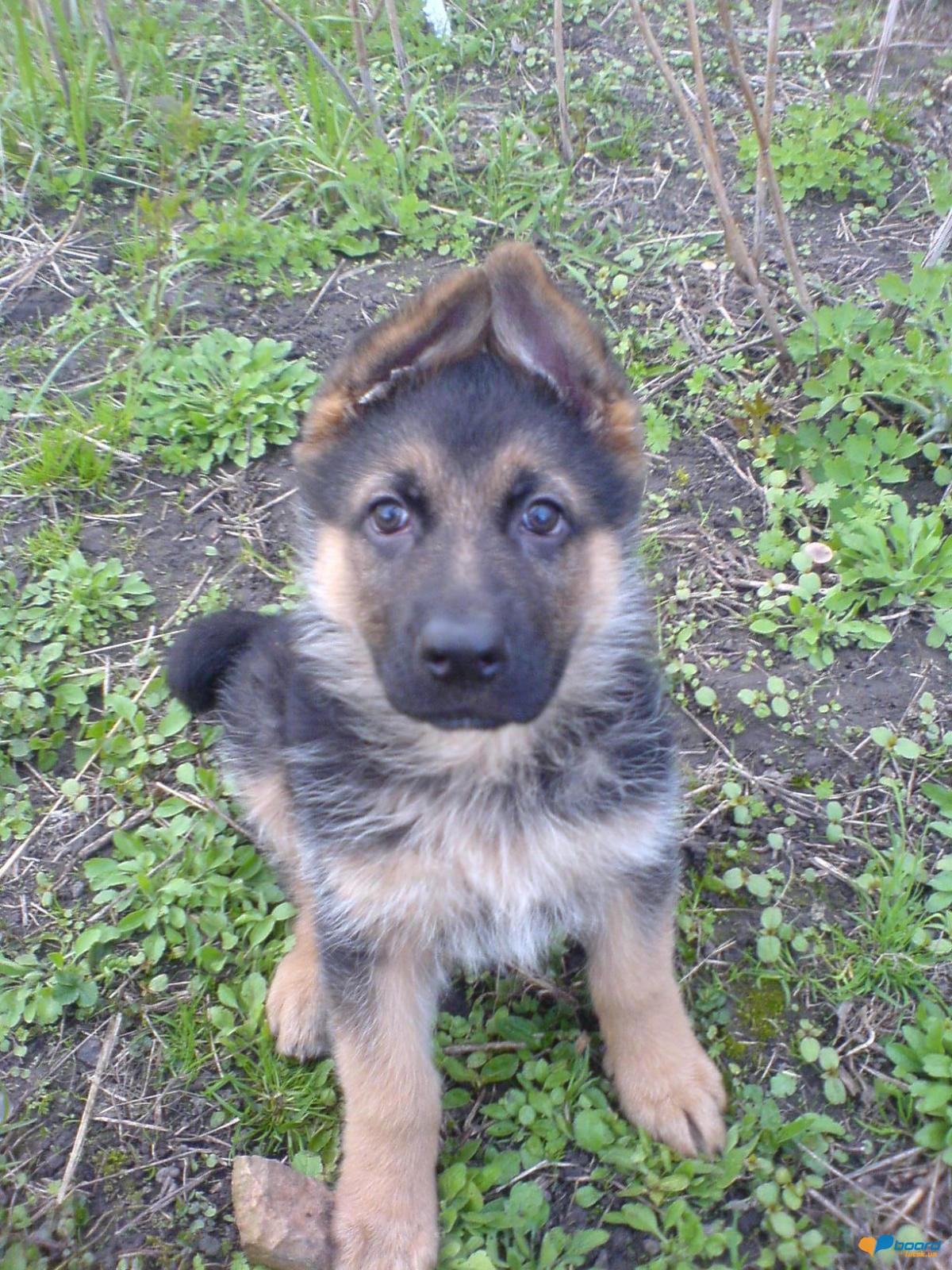 post-8568-0-22957500-1355608991_thumb.jp