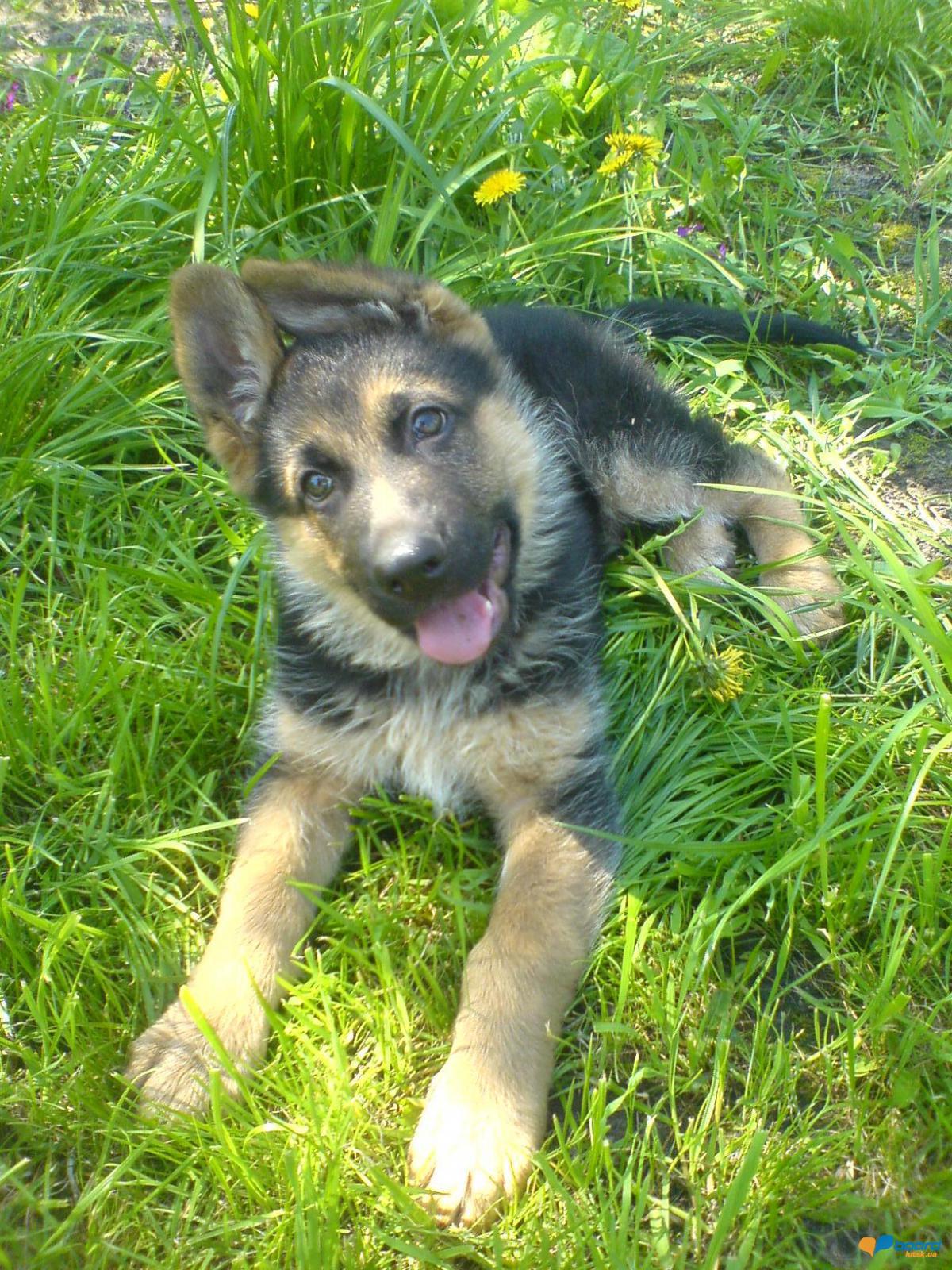 post-8568-0-33072400-1355609024_thumb.jp