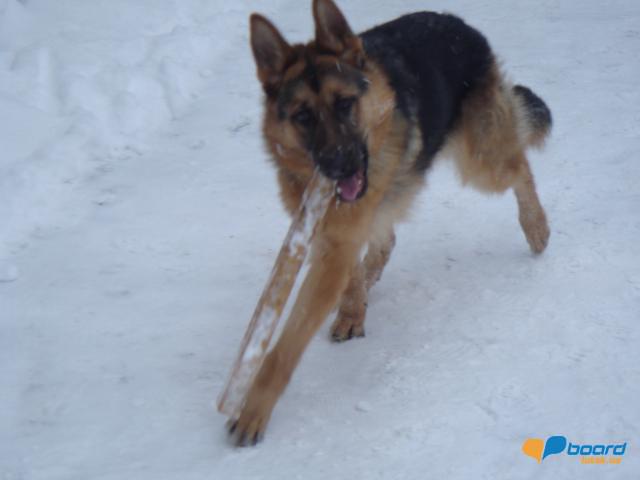 post-8568-0-80059900-1355609579_thumb.jp