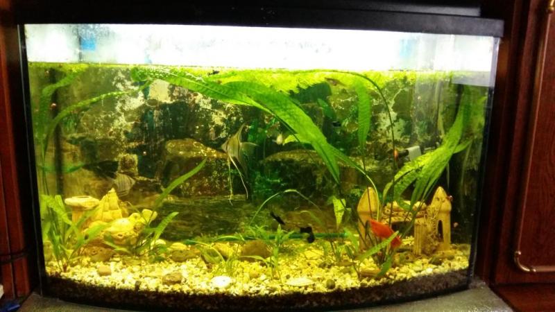 2016-01-17 13.32.45.jpg