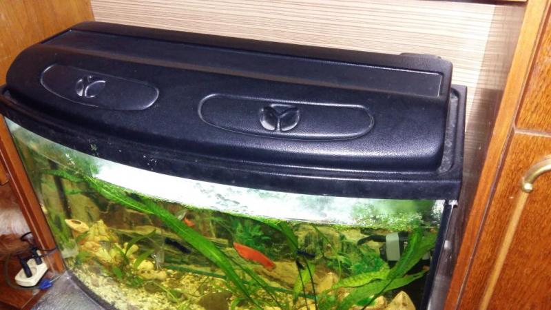 2016-01-17 13.32.56.jpg