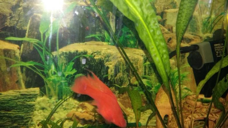 2016-01-17 13.33.10.jpg