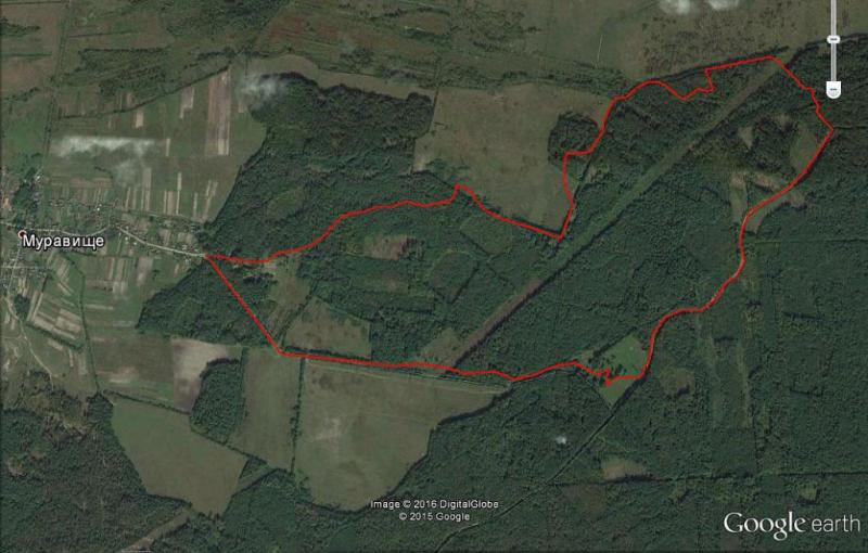 56a6569ecccdf_9.thumb.jpg.0e5a9fa9ebfafb