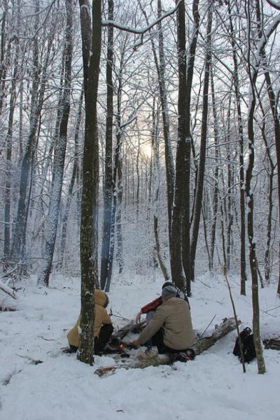 76idrgsergt.thumb.jpg.ad8c5a2afbcc5a6ae9