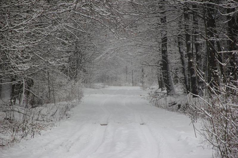 76u6e77t.thumb.jpg.9861f33ece463e2d8cf34