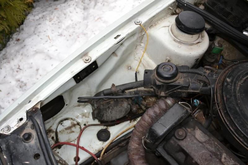 DSC_2343.thumb.JPG.0ca6550a0f63c93d20117